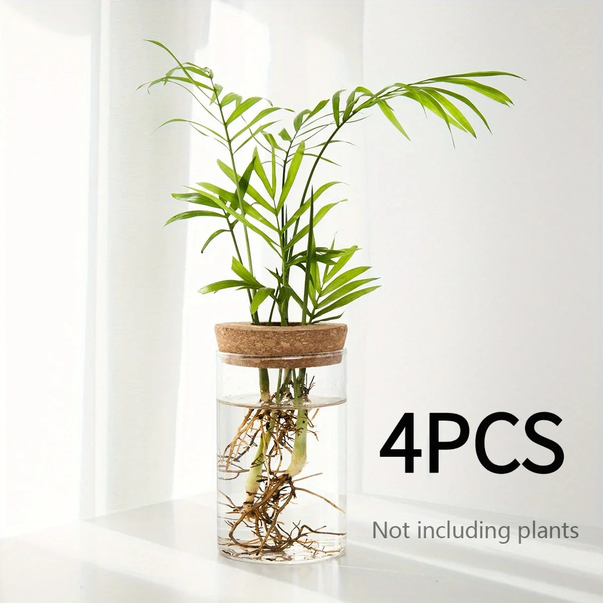 Desktop Hydroponic Glass Planter Vase for Plant Propagation – 6.5X12CM 4pcs