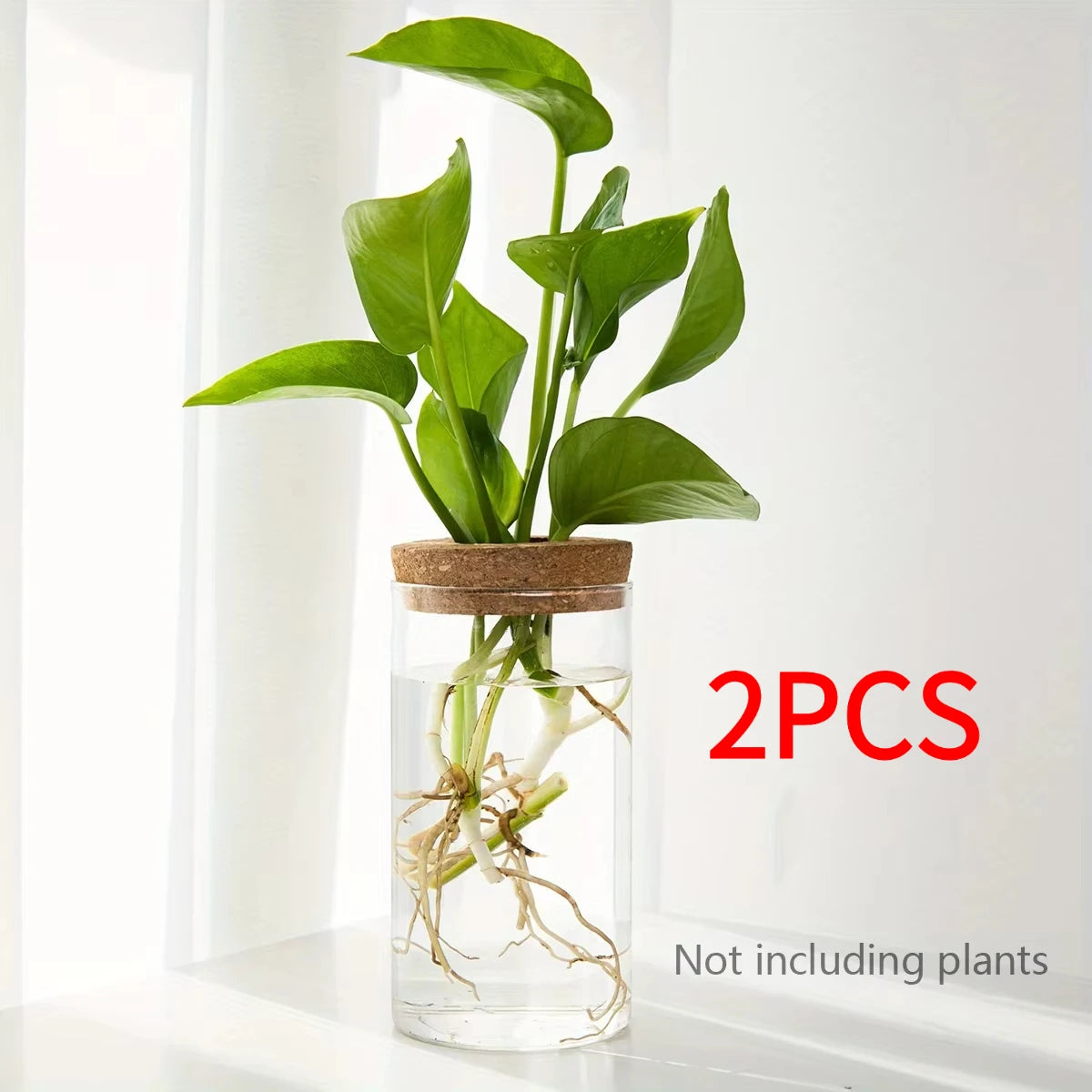 Desktop Hydroponic Glass Planter Vase for Plant Propagation – 6.5X12CM 2pcs