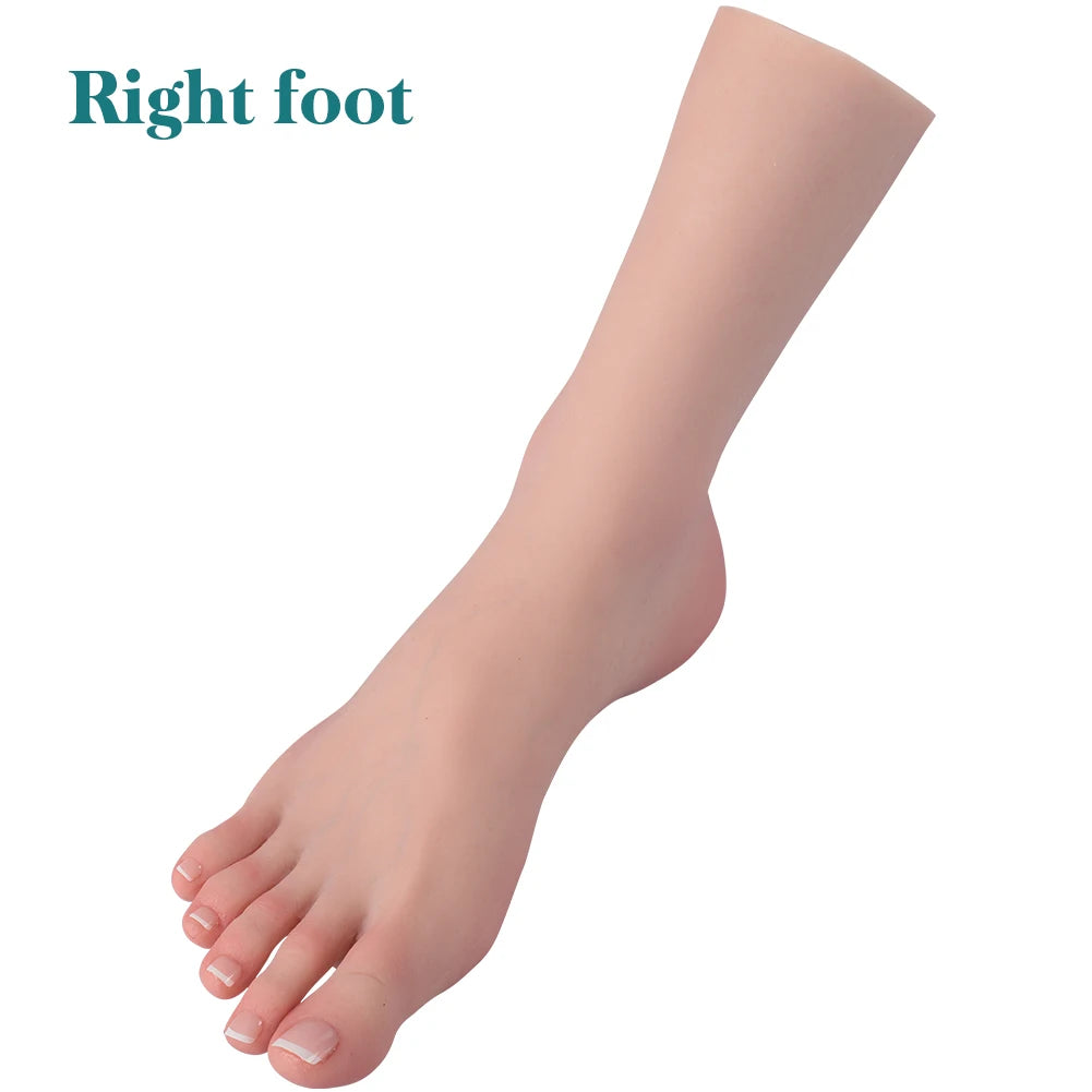 Dokier Realistic Silicone Female Hand and Foot Mannequin Model – Right Foot