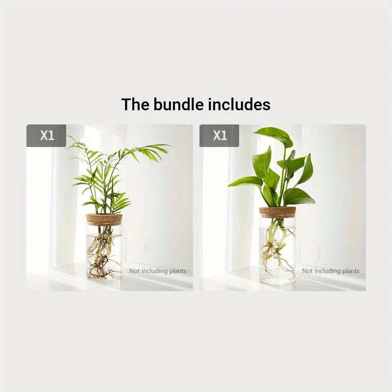 Desktop Hydroponic Glass Planter Vase for Plant Propagation – 2pcs