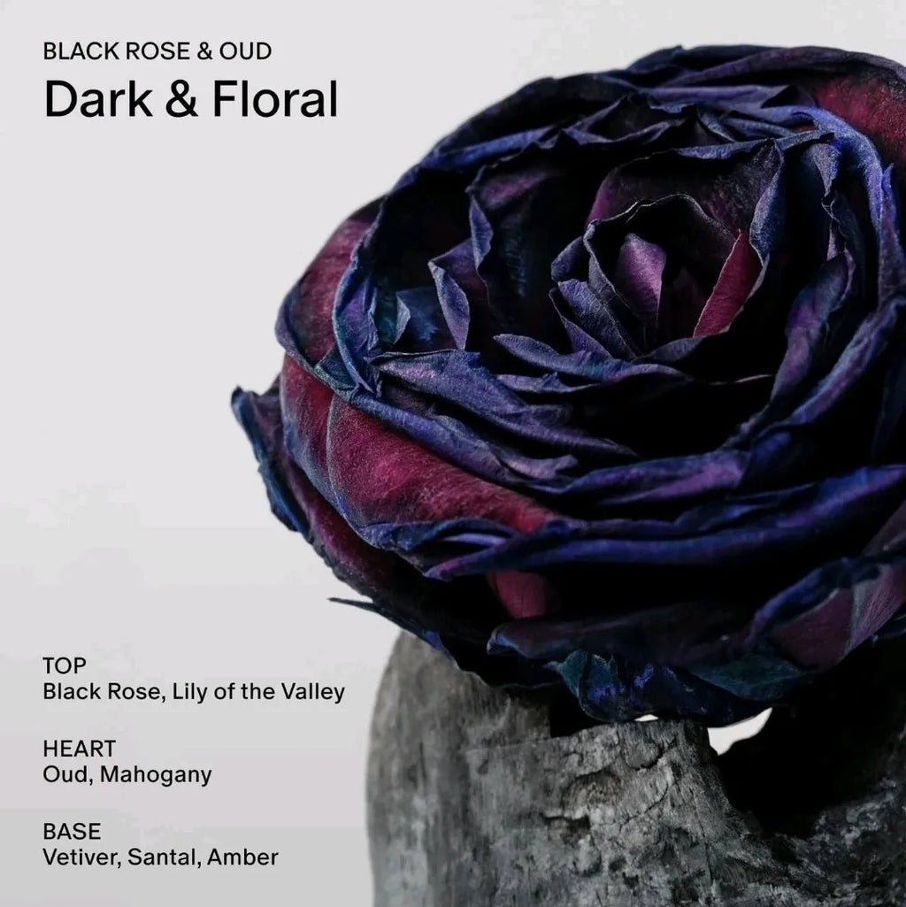 Close up of a dark rose flower with a fragrance note breakdown list
