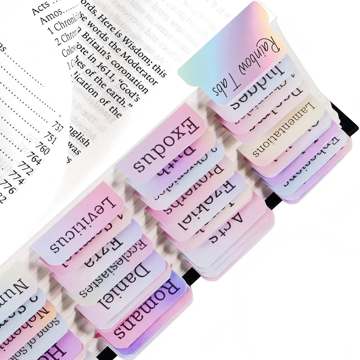 75 Boho Theme Laminated Bible Index Tabs, Large Print Book Labels – Rainbow
