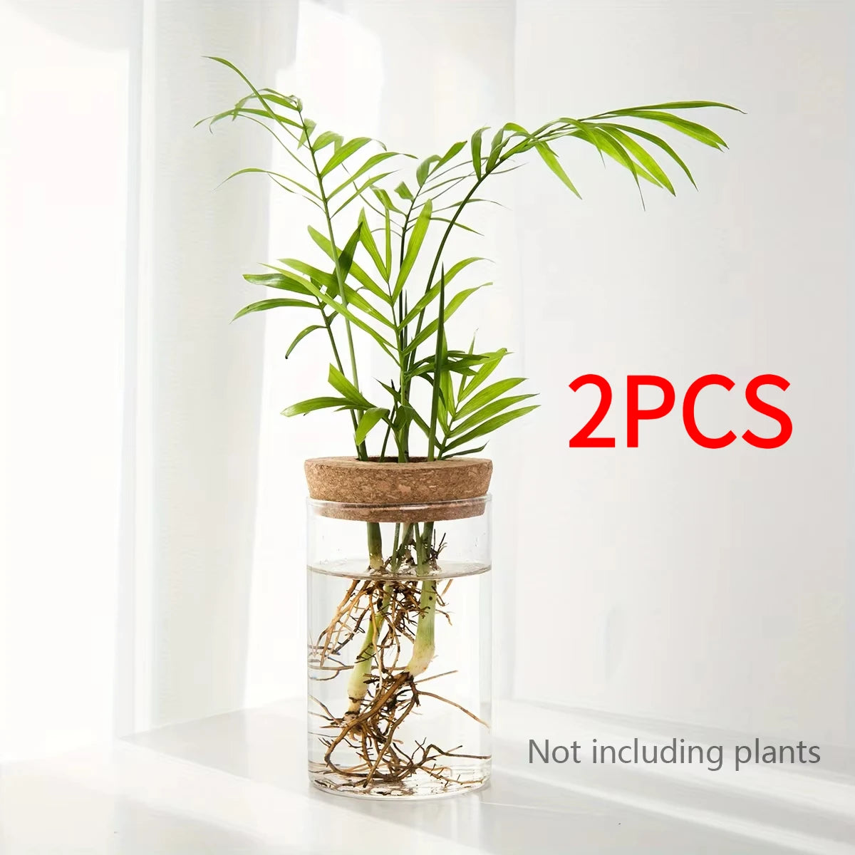 Desktop Hydroponic Glass Planter Vase for Plant Propagation – 6.5X10CM 2pcs