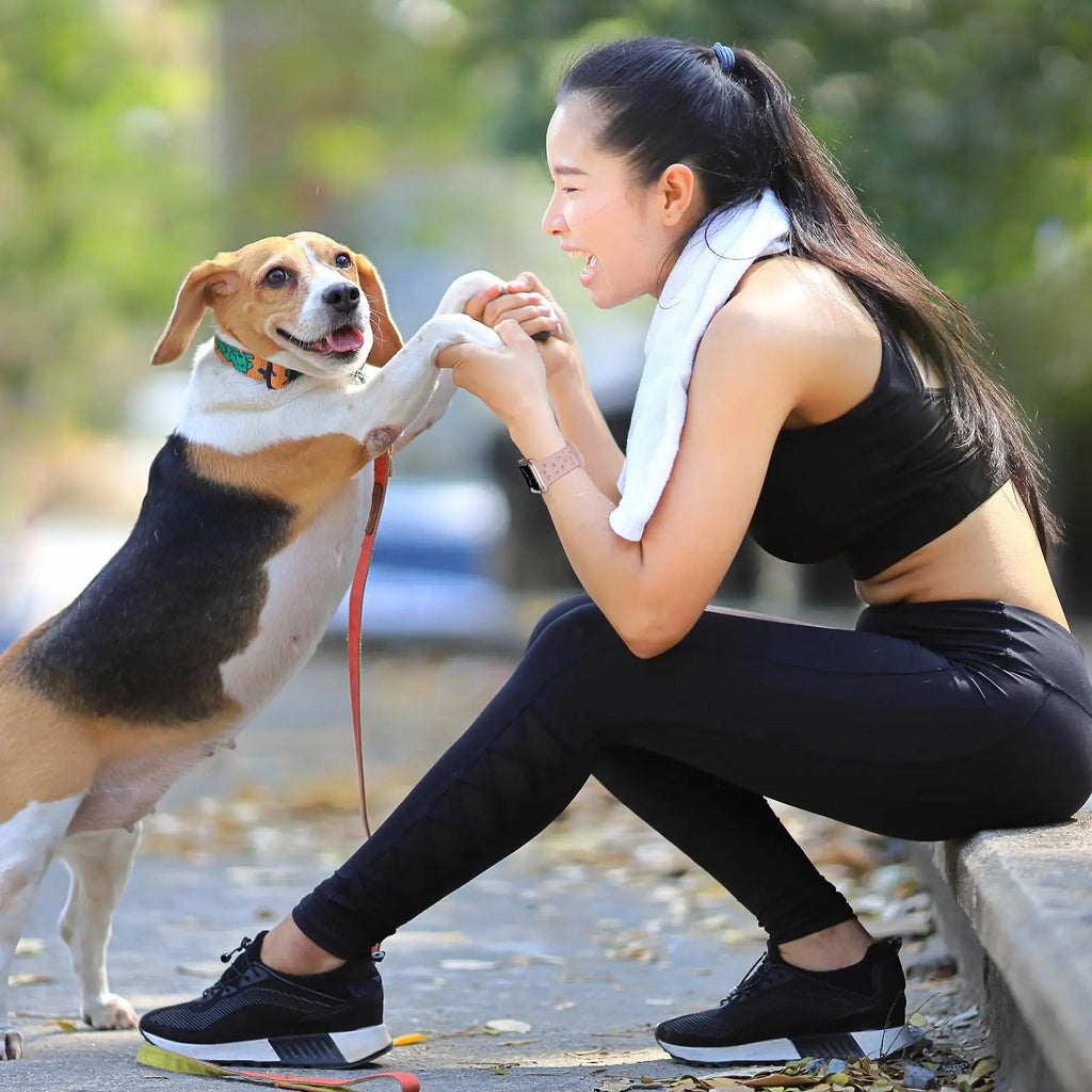 Woman wearing a paw print silicone watch band playing with a beagle dog
