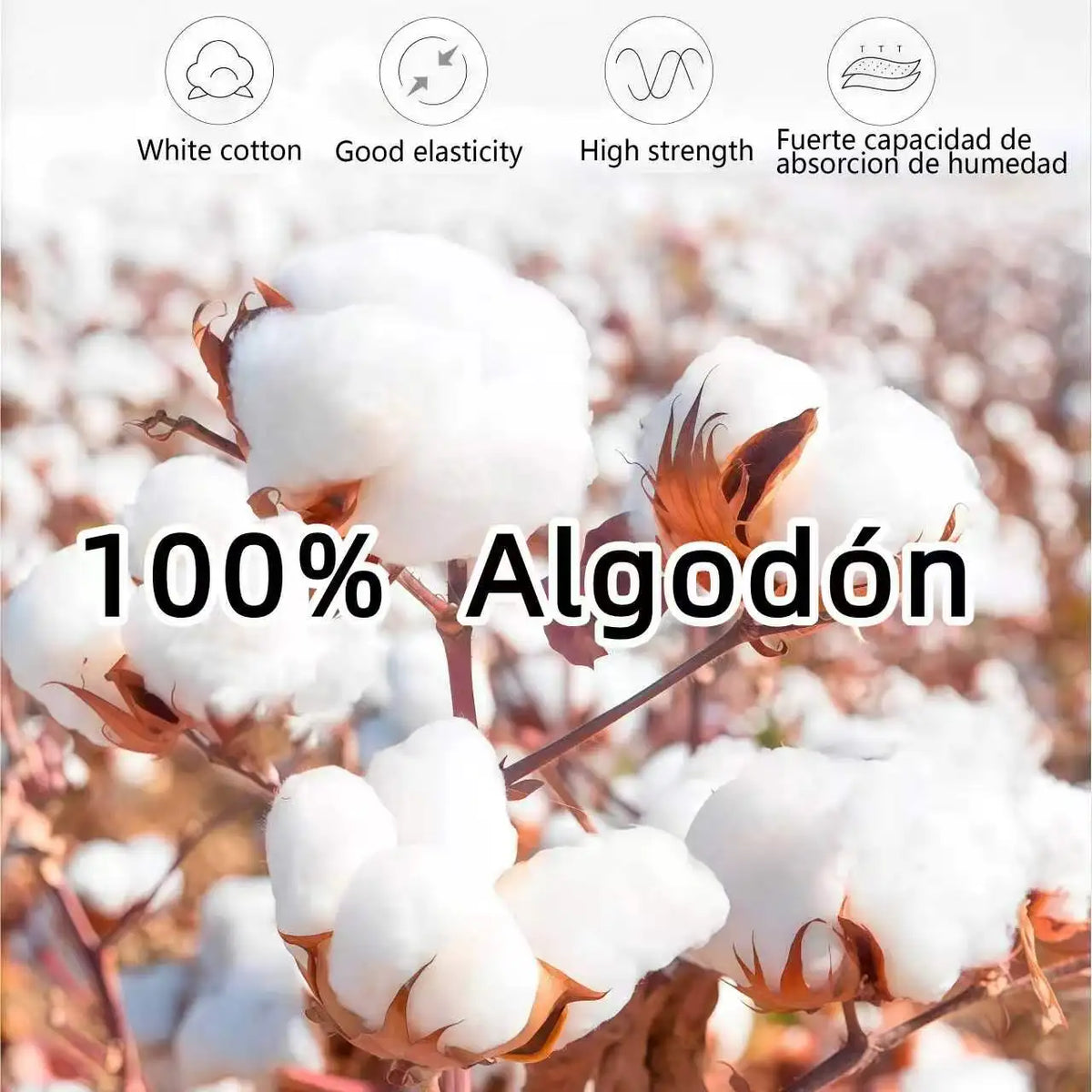 Cotton plant field used to illustrate the material of the black t-shirt.