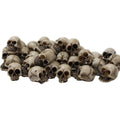 20Pcs Mini Resin Skull Figurines for Halloween and Garden Decor – 20pcs