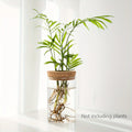Desktop Hydroponic Glass Planter Vase for Plant Propagation – 6.5X10CM 2.56inX3.94
