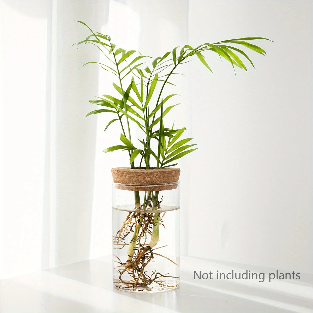 Desktop Hydroponic Glass Planter Vase for Plant Propagation – 6.5X10CM 2.56inX3.94