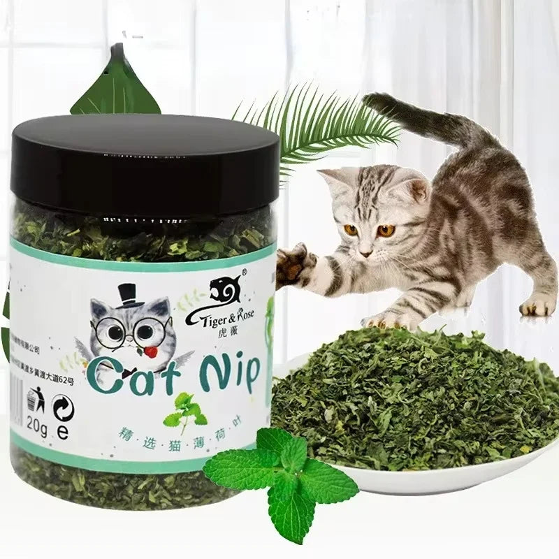 Organic Catnip Toy, 6.5 x 8.5 cm Natural Wood Catnip Supplement – NC17-0029-1Pc
