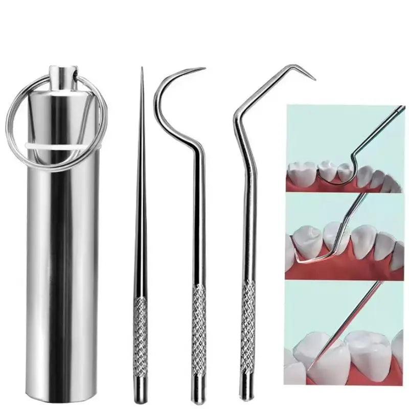 Stainless Steel Pocket Toothpick Set with Keychain Holder – 3pcs set