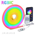 RGBIC Flexible LED Neon Rope Lights with App and Remote Control – RGBIC