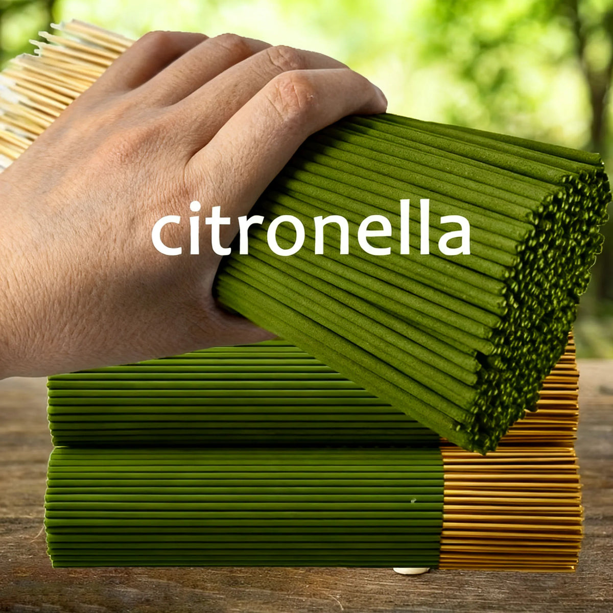 Hand holding a large bundle of green citronella incense sticks