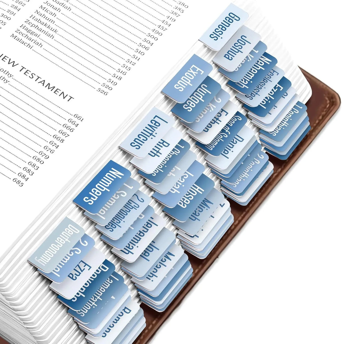 75 Boho Theme Laminated Bible Index Tabs, Large Print Book Labels – Ocean