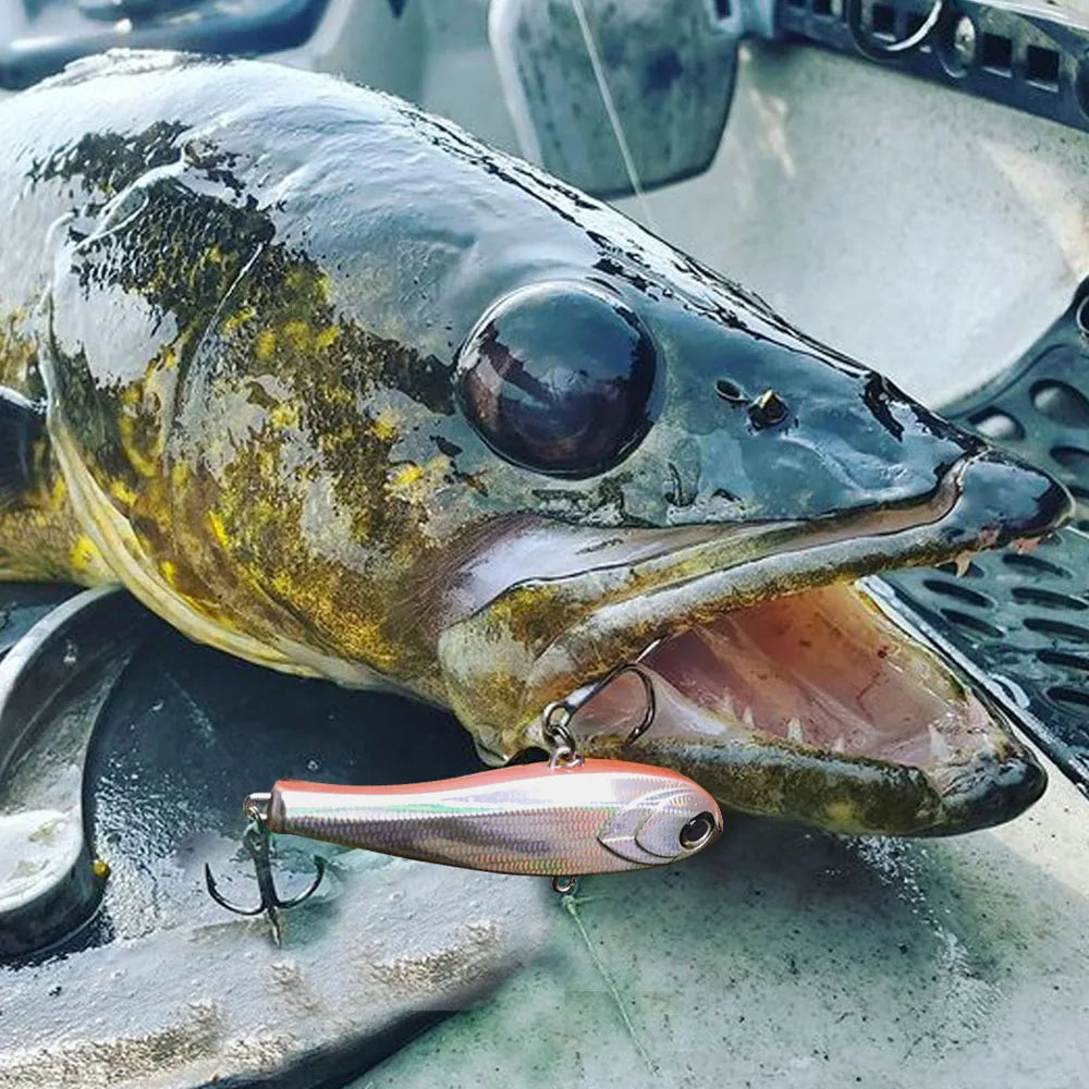 Metallic fishing lure caught in the mouth of a large fish