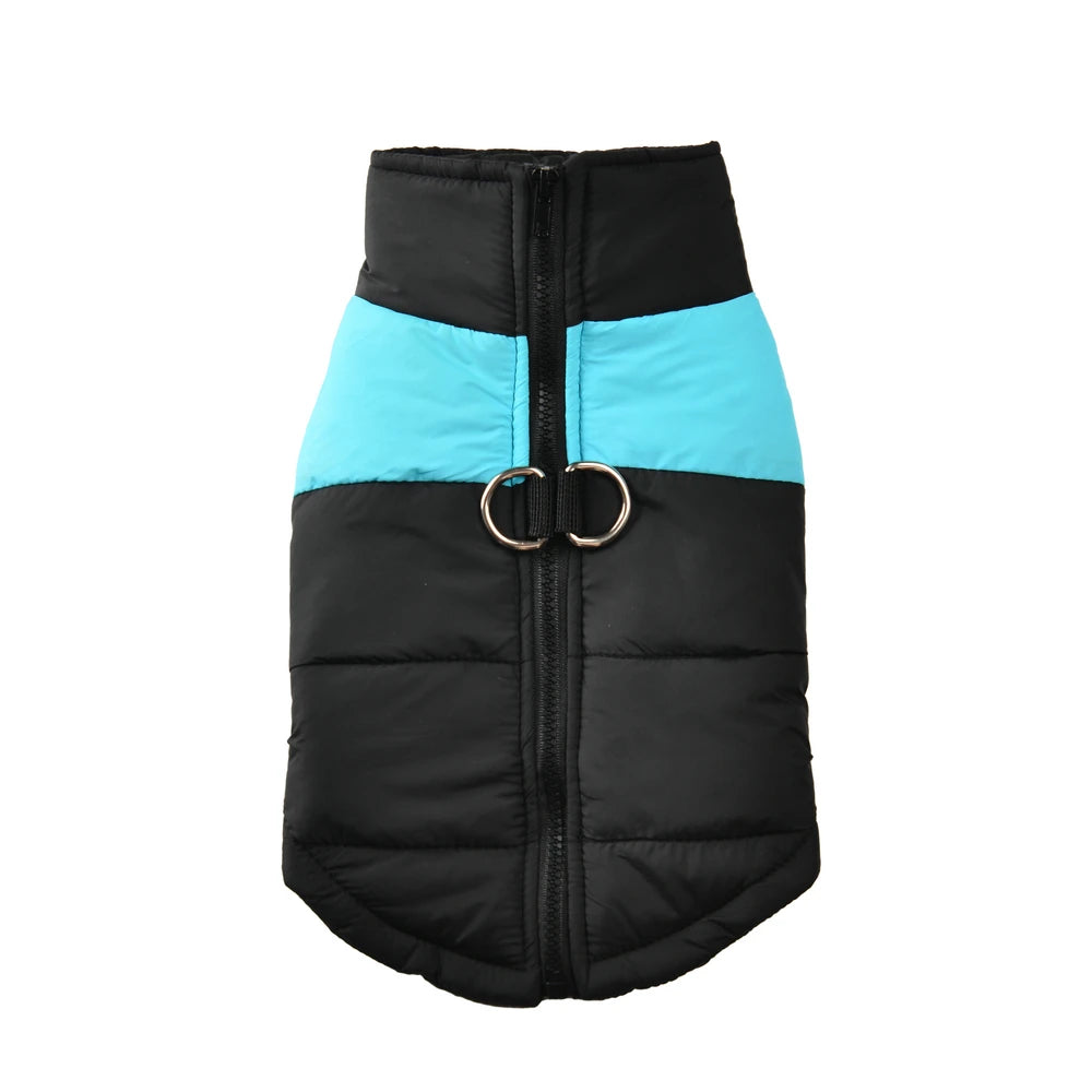 Waterproof Winter Dog Jacket with D-Ring for Small to Large Dogs – Blue