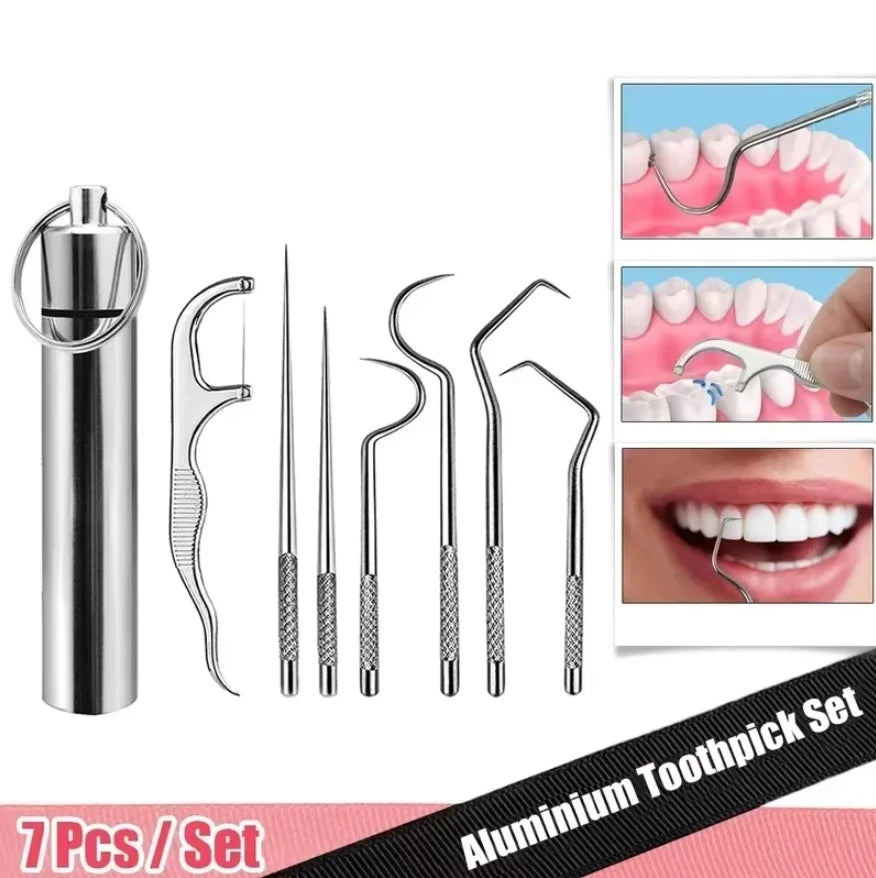 Stainless Steel Pocket Toothpick Set with Keychain Holder – Silvery