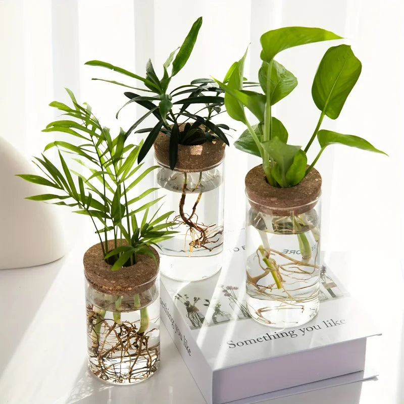 Three cylindrical glass vases with cork lids and hydroponic plants, arranged on a white table next to a decorative book