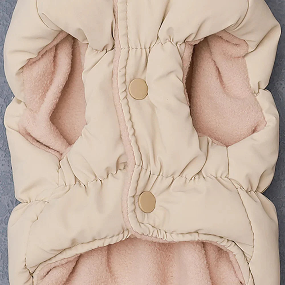 Close up of snap buttons on a beige quilted dog jacket