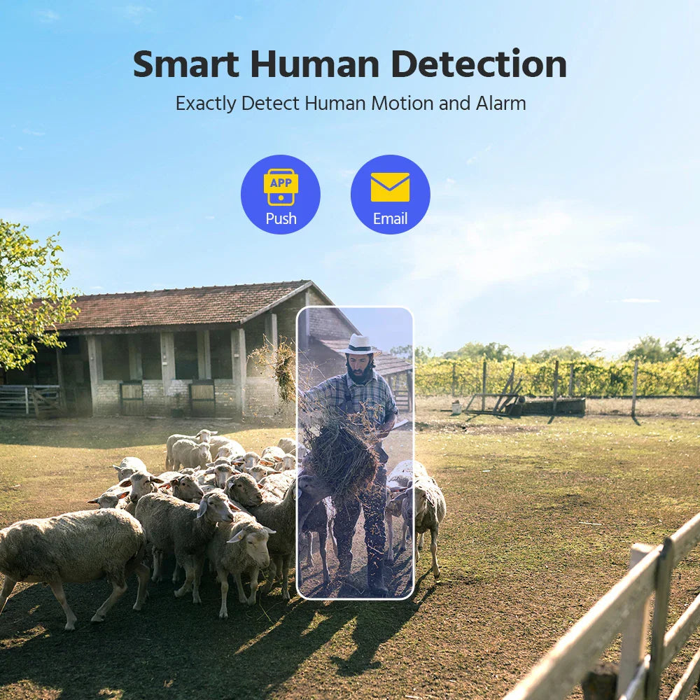 A person feeding sheep in a pen, showing motion detection software frame