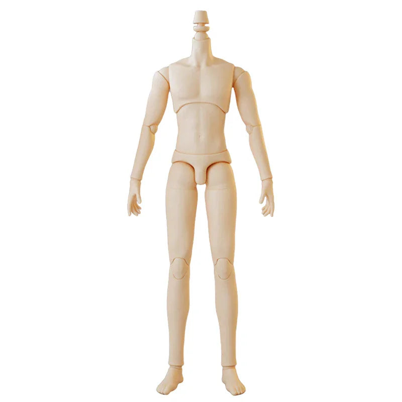 Male doll body with articulated joints in a standing pose
