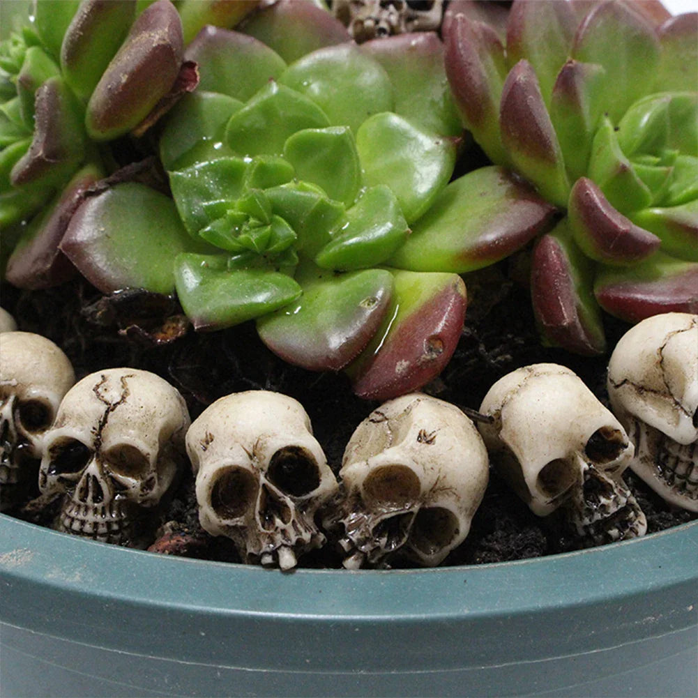Small skull figurines arranged in soil around a succulent plant
