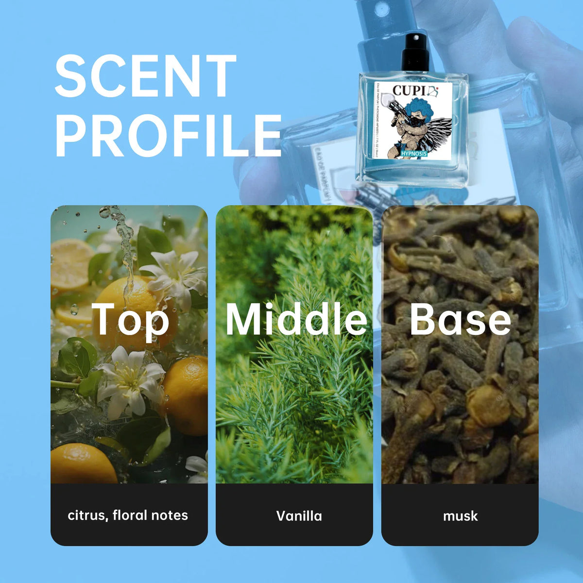 A scent profile diagram for men's perfume showing citrus, vanilla, and musk ingredients.