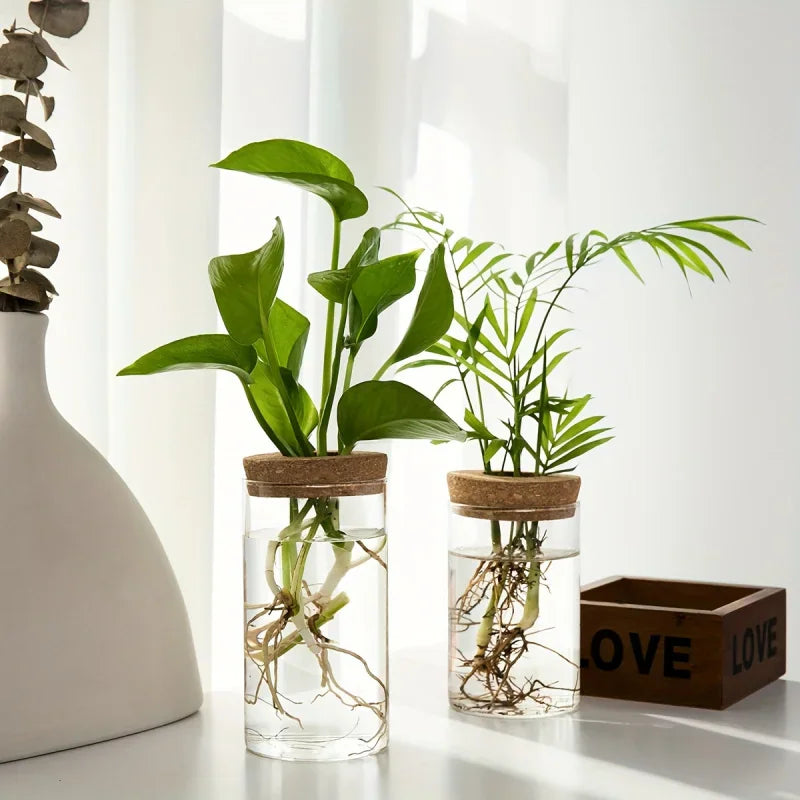 Two cylindrical glass hydroponic vases with cork lids and plants, next to a decorative wooden box labeled LOVE