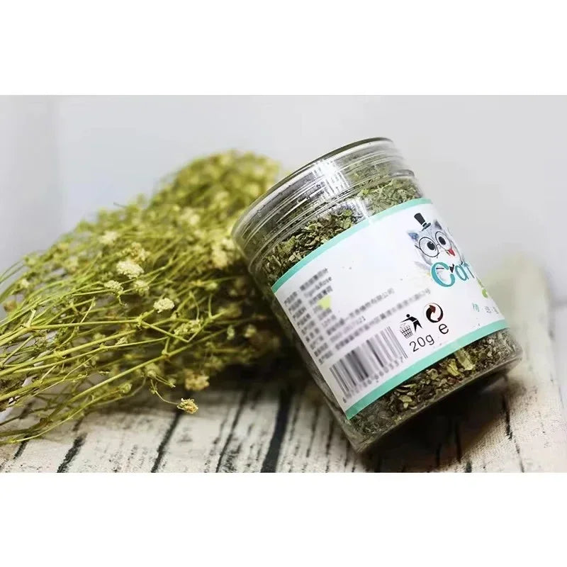 Clear plastic jar of dried catnip on a rustic wooden table with dried herbs