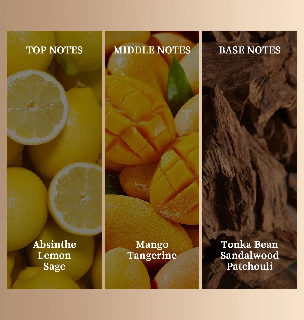 A chart showing the top, middle, and base notes of a fragrance including lemon, mango, and sandalwood