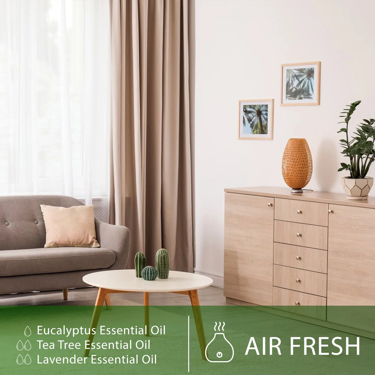 A cozy living room setting with a diffuser, suggesting air freshening benefits for essential oils.