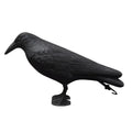 A black crow bird repellent decoy standing on a flat surface, featuring realistic feather detailing and size. – black