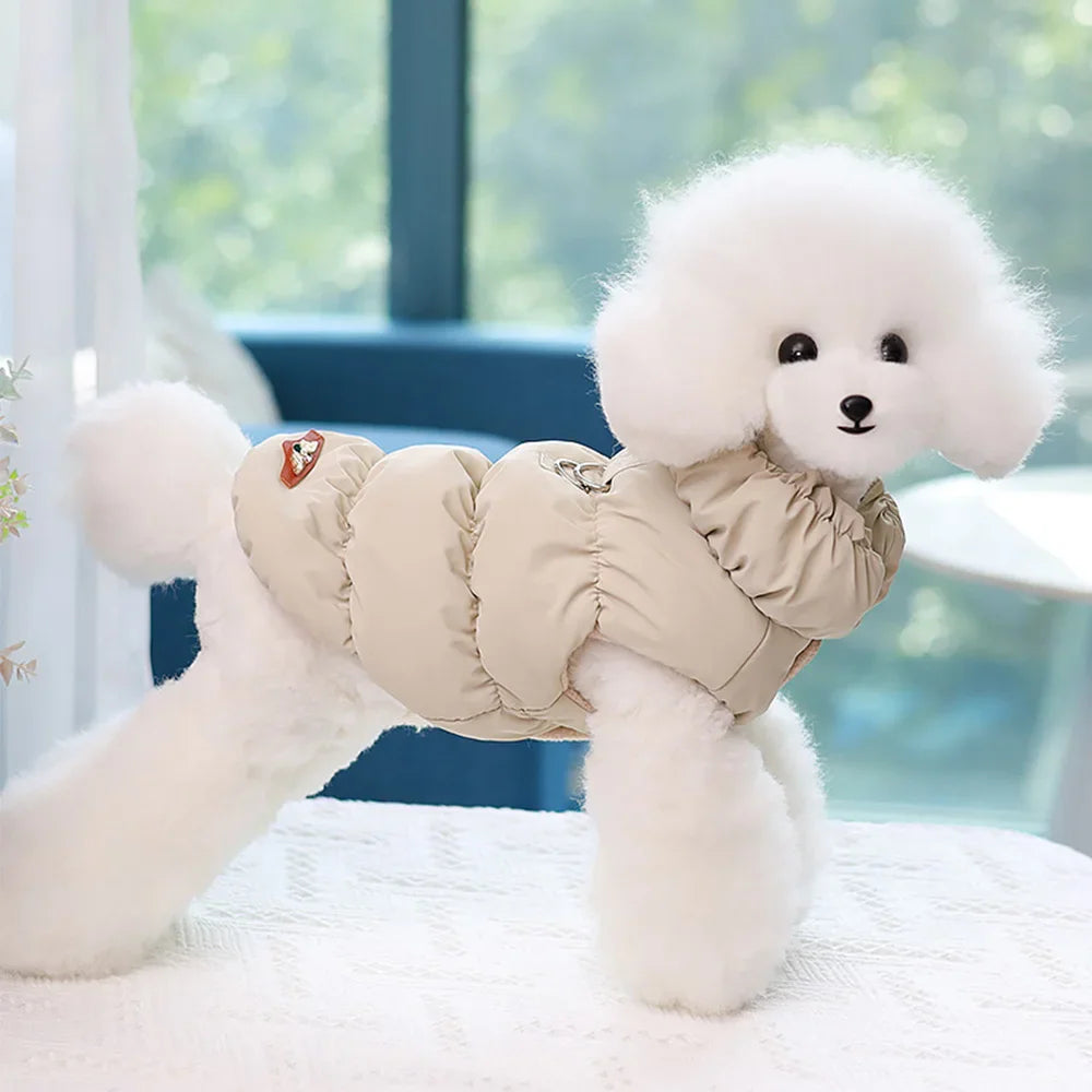White poodle dog wearing a beige quilted winter vest