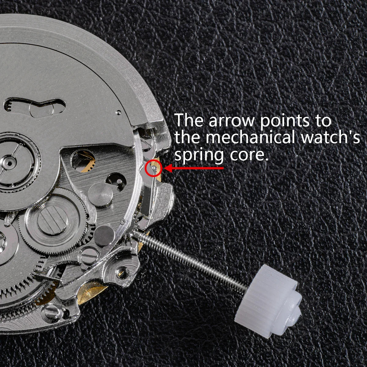Automatic mechanical watch movement showing the winding stem and spring core