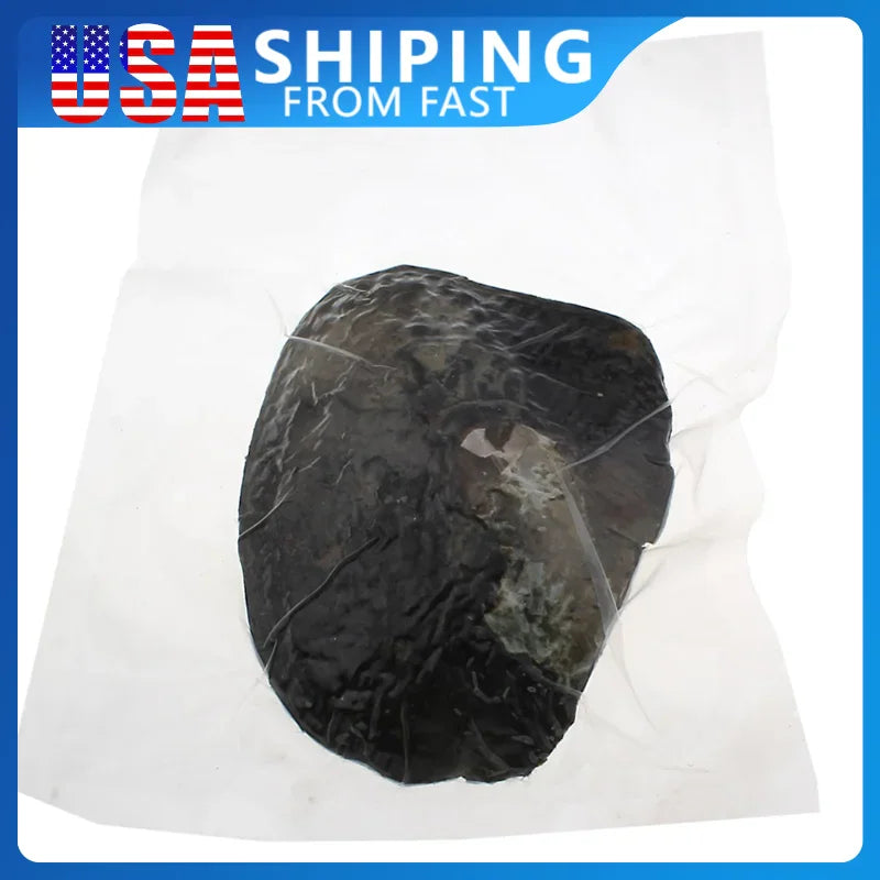 Whole freshwater oyster shell vacuum sealed in plastic packaging
