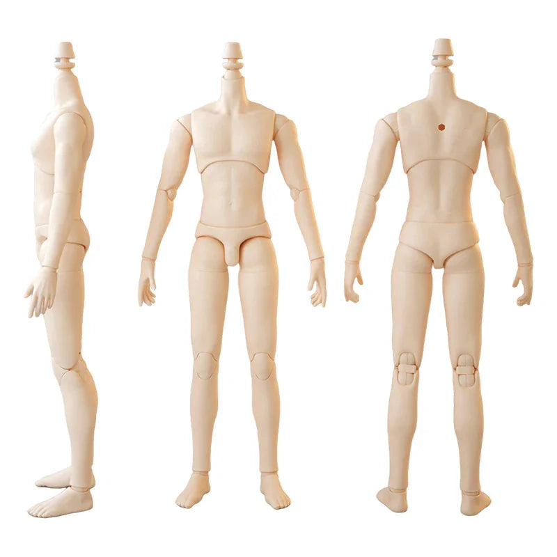 Male doll body with articulated joints shown from side, front, and back views