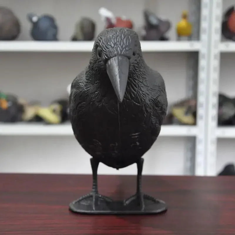 A front view of a black crow decoy bird, used for garden pest control.