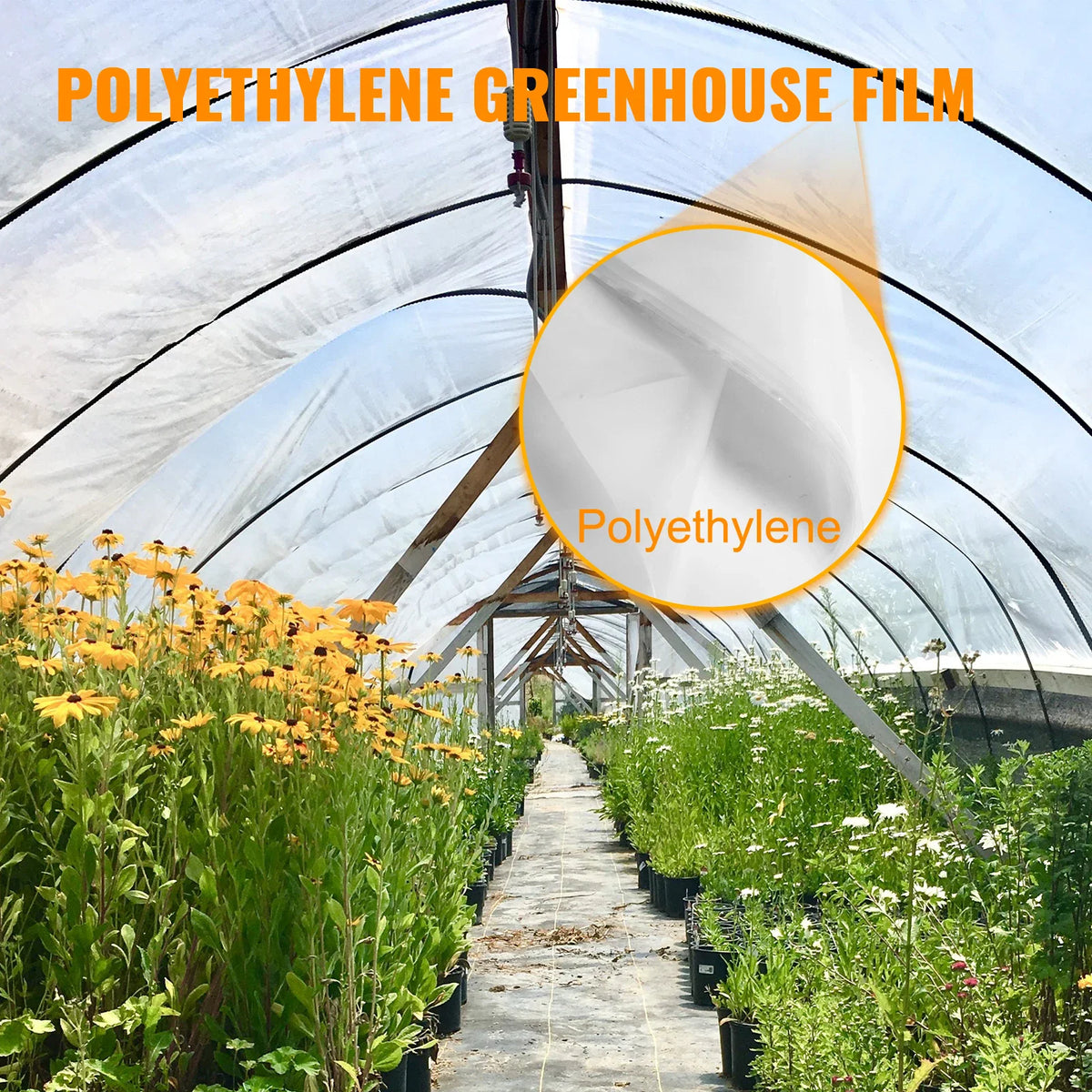 Greenhouse interior with flowers and zoomed-in texture of polyethylene film
