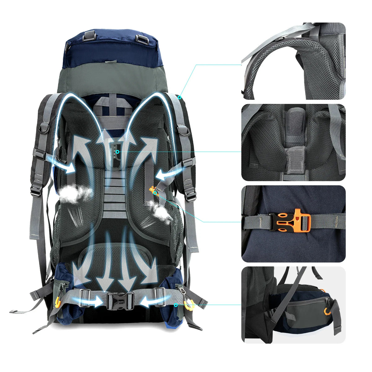 Close-up details of hiking backpack straps, back padding, and buckles.