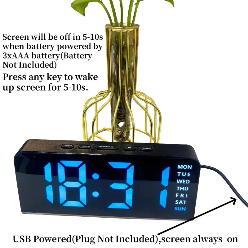 Digital LED alarm clock with blue numbers and day of week display behind a small plant