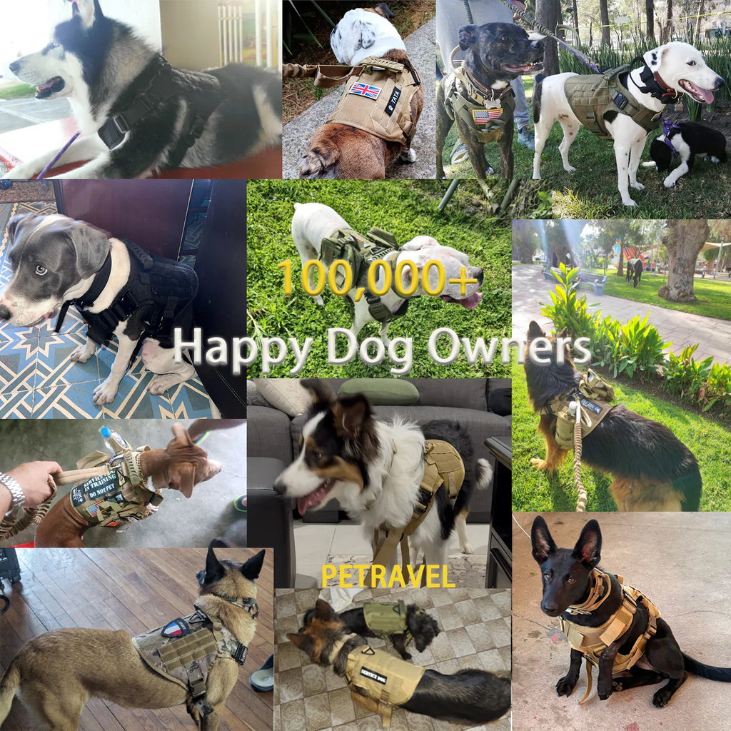 Collage of different dogs wearing tactical harnesses in various outdoor and indoor settings
