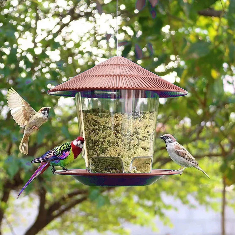 Hanging gazebo bird feeder in terracotta with mixed seeds and perched birds