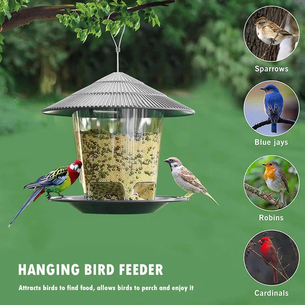 Hanging gazebo bird feeder showing bird species it attracts