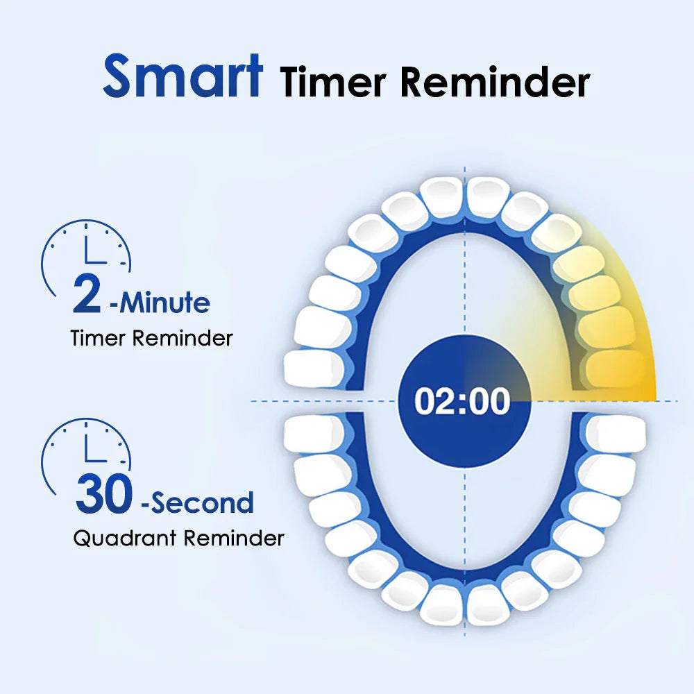 Diagram illustrating a 2-minute timer and 30-second quadrant alerts for brushing