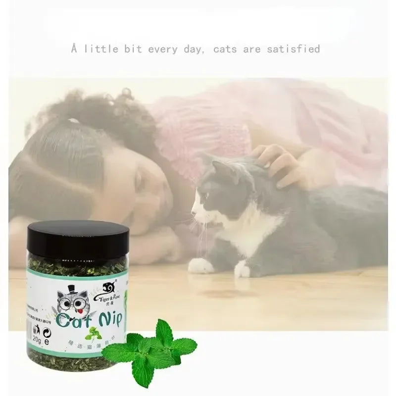 Dried catnip in a plastic jar with a person cuddling a cat in the background