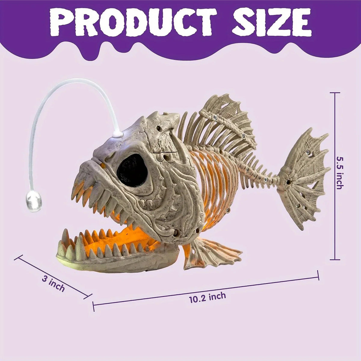 Skeleton angler fish dimensions and size guide