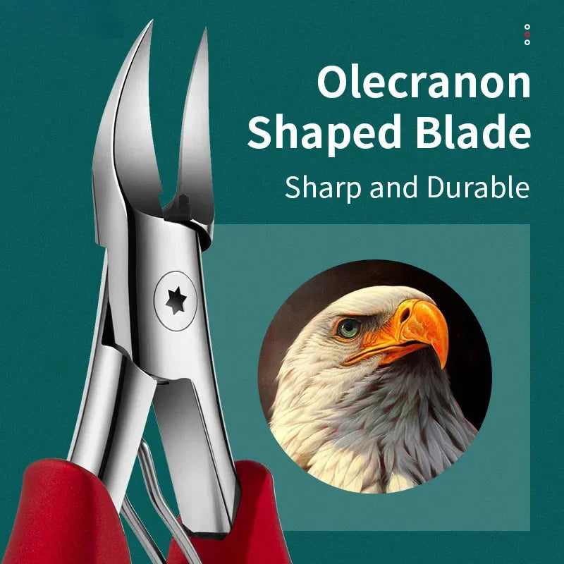 Professional grade stainless steel toenail nipper with an eagle head graphic to demonstrate blade shape