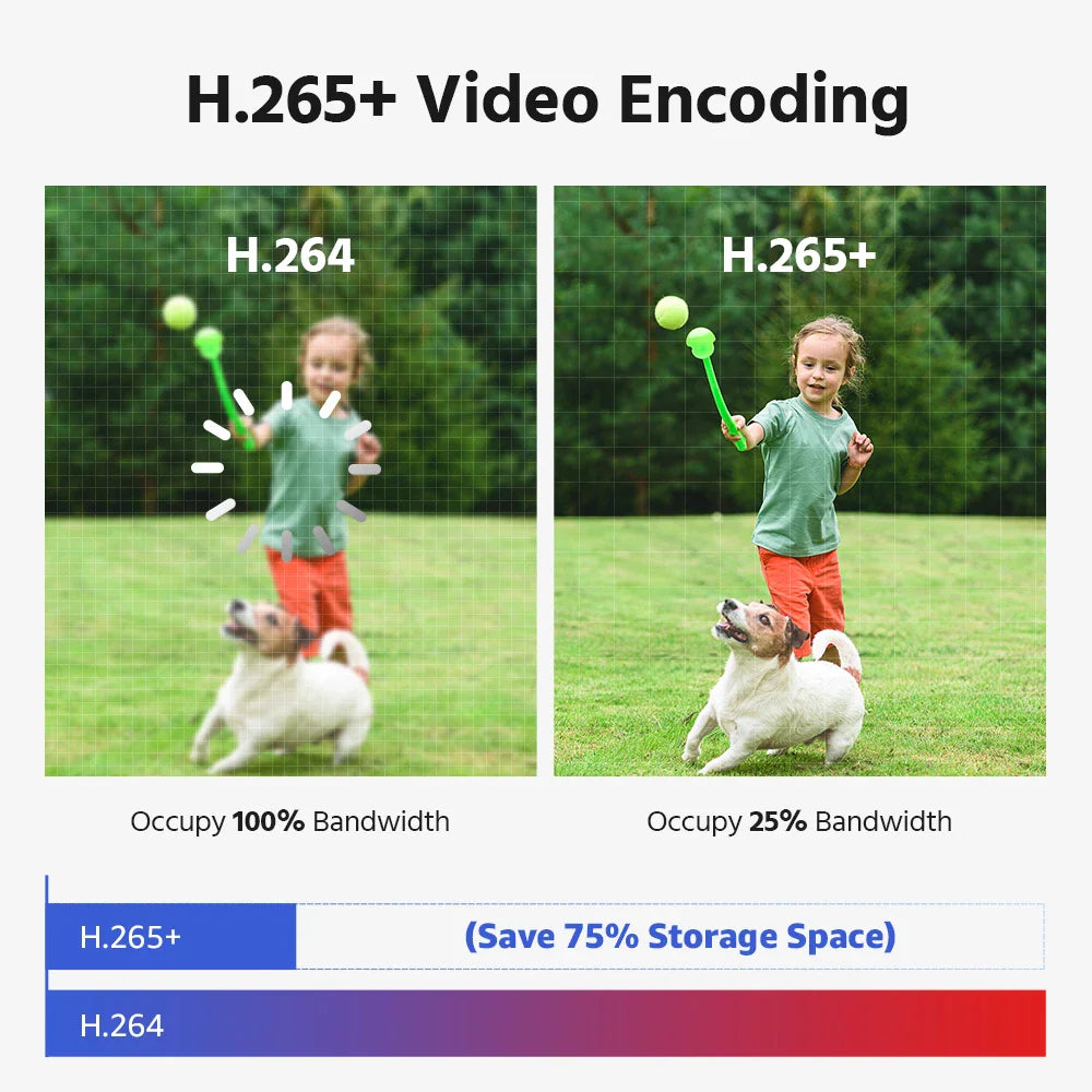 Comparison of H.264 and H.265+ video encoding efficiency showing a child playing with a dog