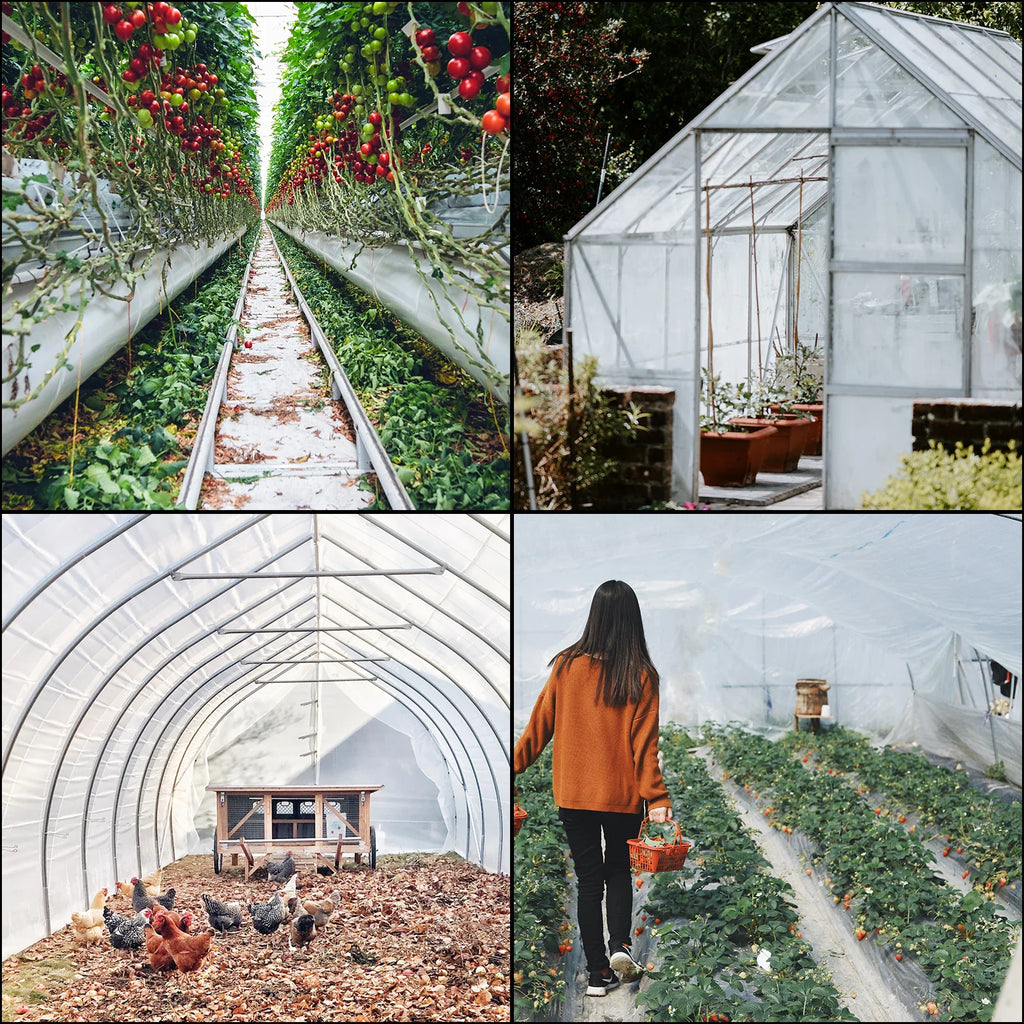 Greenhouse farming scenes with crops, a garden structure, and chickens