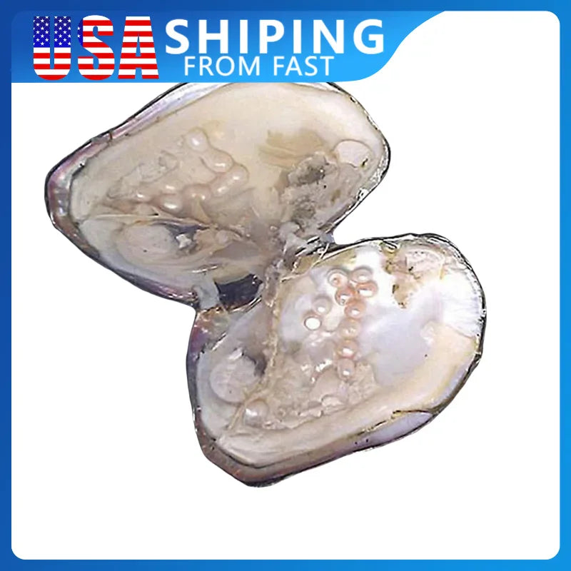 Opened oyster shell containing multiple round white pearls