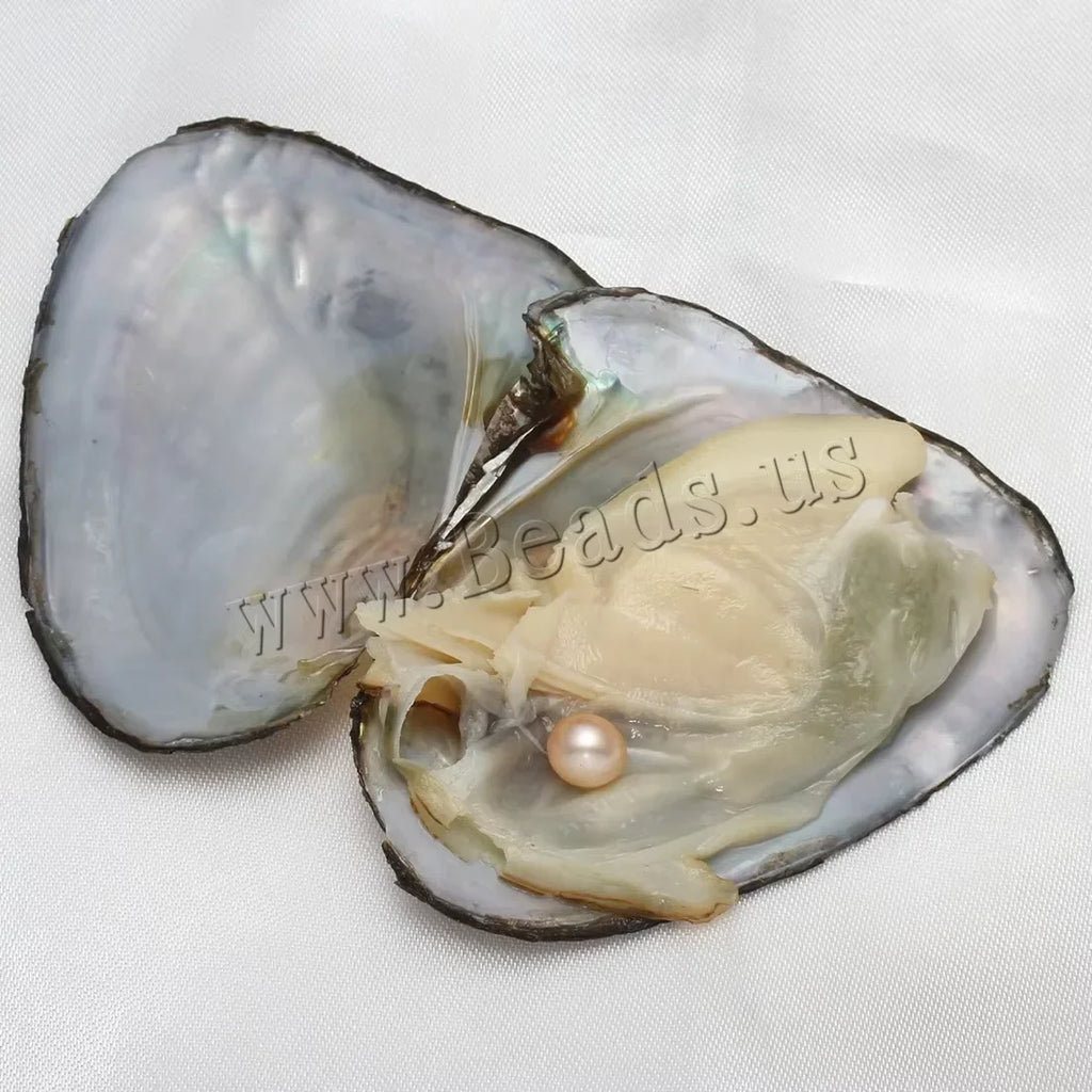 An open pearl oyster with a pink freshwater pearl inside